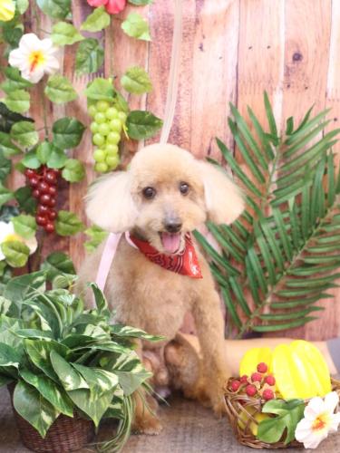 20230827こたろうくん